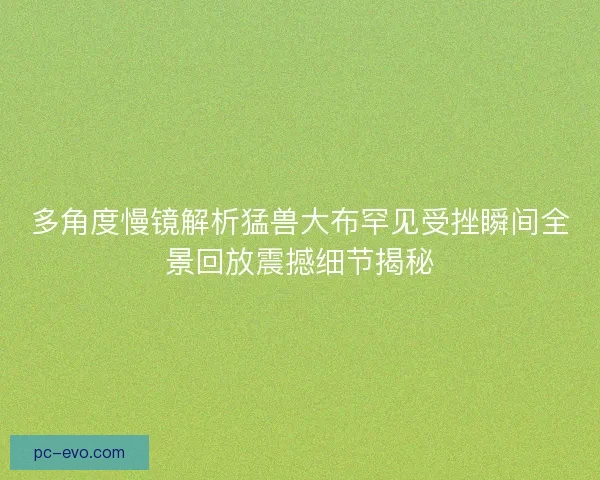 多角度慢镜解析猛兽大布罕见受挫瞬间全景回放震撼细节揭秘