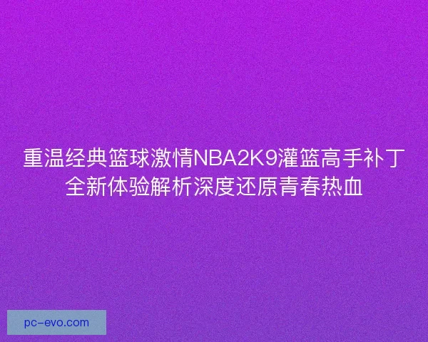 重温经典篮球激情NBA2K9灌篮高手补丁全新体验解析深度还原青春热血